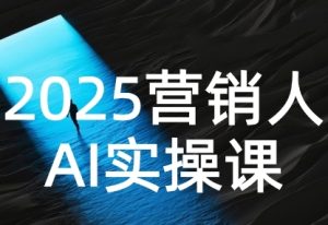 2025营销人Al实操课,AI营销抢跑实战,从Prompt到方案,效率碾压同行-副业资源站