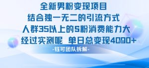 全新男粉变现项目引流人群35以上的男粉消费能力大 经过实测单日变现1k+-副业资源站