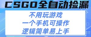 CSGO自动捡漏项目,最新独家玩法,不用挂G不用玩游戏,一个手机即可操作,新手小白轻松月入1W+【揭秘】-副业资源站