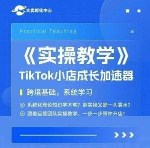 大卖家孵化中心TikTok实操课，TikTok小店成长加速器，跨境基础系统学习，一步一步带你开店-副业资源站
