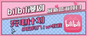 最新蓝海项目，B站充电计划，小白也能月入1w+-副业资源站