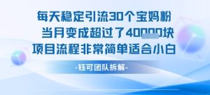 每天稳定引流30个人 当月变成超过了4个W项目流程非常简单适合小白-副业资源站