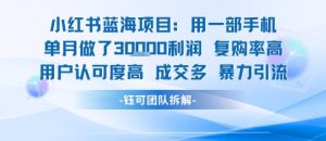 小红书蓝海项目，一部手机单月做了3W利润，小白也能月入过1W用户认可度高成交多-副业资源站