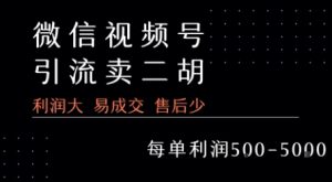 视频号卖二胡教程,利润大 易成交 售后少,一单利润5张+-副业资源站