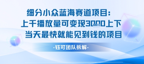 小众蓝海赛道项目：当天变现1k+适合新手操作 +适合长期玩-副业资源站