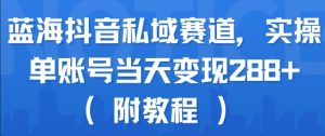 蓝海抖音私域赛道，实操单账号当天变现288+(附教程)-副业资源站