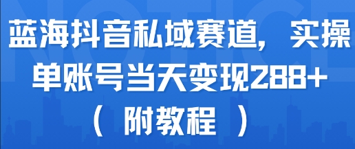 蓝海抖音私域赛道，实操单账号当天变现288+(附教程)-副业资源站
