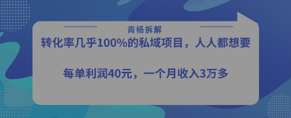 转化率最高的私域项目，每单利润40-50米，月入过1w-副业资源站