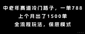 中老年赛道冷门路子，一单788，上个月出了1500单，全流程玩法，保底模式【揭秘】-副业资源站