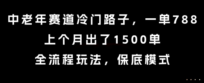 中老年赛道冷门路子，一单788，上个月出了1500单，全流程玩法，保底模式【揭秘】-副业资源站