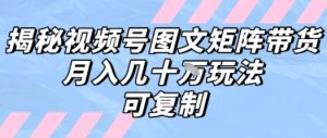 解密视频号图文矩阵带货，月入几个W的打法，可复制-副业资源站