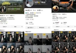 抖音图文文案赛道新玩法,快速养号起号,广告收益分成+橱窗带货+教学收徒等-副业资源站