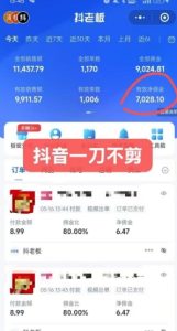 抖音短视频一刀不剪带货，不剪辑，不直播，每天发个视频，等着出单获取带货佣金-副业资源站