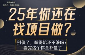 25年,你还在疯狂的找项目吗?别傻了,看完这个你都懂了【揭秘】-副业资源站
