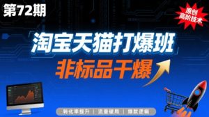 淘宝天猫打爆班原创高阶技术第72期，非标品干爆-副业资源站