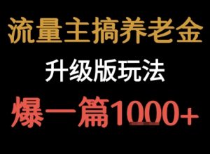 流量主之养老金升级版玩法  爆一篇收益1k+-副业资源站