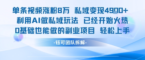 单条视频私域变现4.9k+利用AI做私域玩法 已经开始火热0基础也能做的副业项目轻松上手-副业资源站
