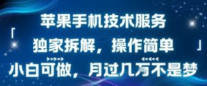 苹果手机技术服务,独家拆解,操作简单,小白可做,月过1W不是梦-副业资源站