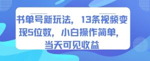 书单号新玩法，13条视频变现5位数，小白操作简单，当天可见收益-副业资源站