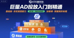 巨量AD投放入门到精通,基础版+进阶版+加餐课-副业资源站