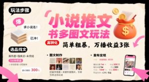 小说推文小红书多图文玩法，简单粗暴，万播收益3张-副业资源站