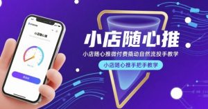 小店随心推微付费撬动自然流投手教学，小店随心推手把手教学-副业资源站