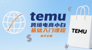 temu跨境电商小白基础入门课程，新手必看-副业资源站