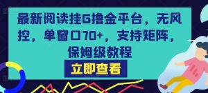 最新阅读挂G撸金平台，无风控，单窗口70+，支持矩阵，保姆级教程【揭秘】-副业资源站