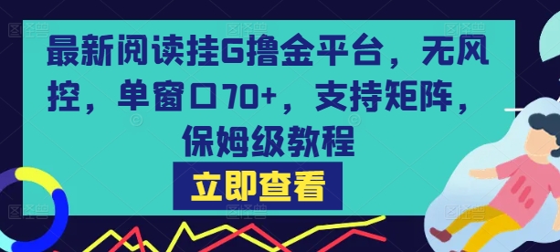 最新阅读挂G撸金平台，无风控，单窗口70+，支持矩阵，保姆级教程【揭秘】-副业资源站