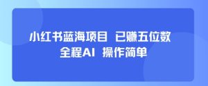 小红书蓝海项目，全程AI，操作简单，已挣五位数-副业资源站