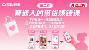 小红书带货第二期训练营,普通人月收过W的带货课,时间自由,零门槛无压货,一部手机即可操作-副业资源站
