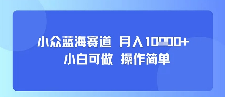 小众蓝海赛道，小白可做，操作简单，每天30分钟，月入1W+-副业资源站