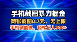 手机截图暴力掘金，两张截图0.7米，一部手机就能做，轻松日入3张+【揭秘】-副业资源站
