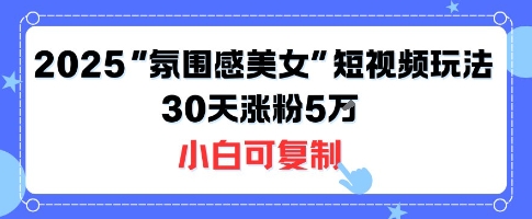 不露脸也能火！2025“氛围感美女”短视频玩法，30天涨粉5W小白可复制-副业资源站