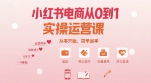 小红书电商从0到1实操运营课，从零开始，简单易学-副业资源站