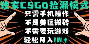 CSGO自动捡漏项目，最新独家玩法，不是美区搬砖，不需要了解和玩游戏，新手小白轻松月入1W+【揭秘】-副业资源站