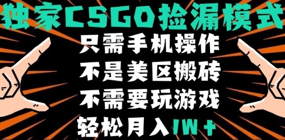 CSGO自动捡漏项目，最新独家玩法，不是美区搬砖，不需要了解和玩游戏，新手小白轻松月入1W+【揭秘】-副业资源站