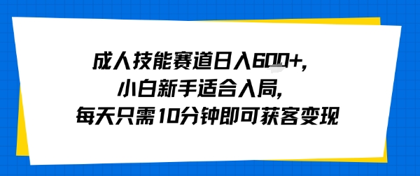 成人技能赛道日入多张，小白新手适合入局，每天只需10分钟即可获客变现-副业资源站