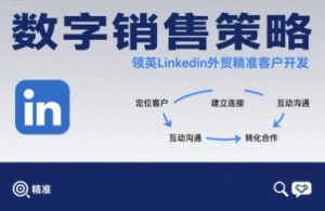 数字销售策略领英LinkedIn外贸精准客户开发-副业资源站