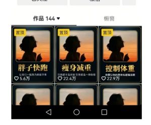 超高变现的短视频减肥细分赛道，减肥账号抖音实战训练营-副业资源站