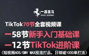 TikTok全套视频课,新手入门+进阶课,短视频ADS-GMV MAX投流打品,日销破1000单打法-副业资源站