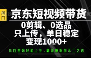 你出账号,我来运营,保底日入1k+,开启躺賺模式【揭秘】-副业资源站