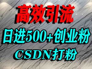 怎么打创业粉?CSDN又一个你不知道的打粉引流神秘平台,单人日引500+精准流量-副业资源站