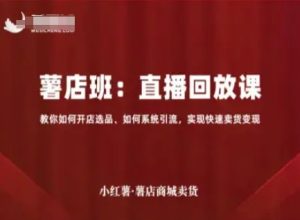 小红薯薯店商城卖货直播回放课,教你如何开店选品、如何系统引流,实现快速卖货变现-副业资源站