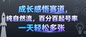 成长感悟赛道，纯自然流，百分百起号率 一天轻松多张-副业资源站