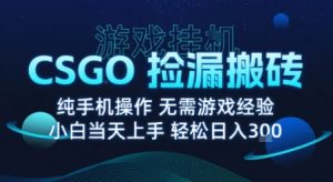 8月最新游戏搬砖,CSGO纯挂G,不需要玩游戏,实现真挂G,月入1W+【揭秘】-副业资源站