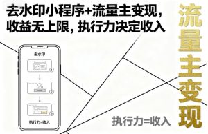 去水印小程序+流量主变现，收益无上限，执行力决定收入-副业资源站
