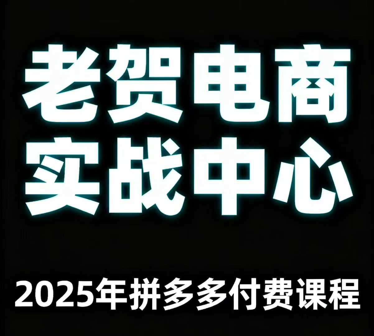 老贺电商2025年拼多多付费课程，用通俗易懂的方法告诉你多多怎么玩-副业资源站