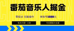 番茄音乐人掘金，单账号最高可撸1k+，可无限矩阵去做，零投入-副业资源站