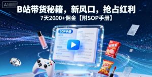 B站带货秘籍，新风口，抢占红利，7天2k+佣金【附SOP手册】-副业资源站